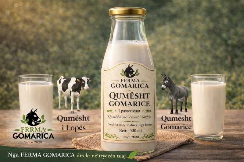 Qumesht gomarice per sistemin respirator, qumesht gomarice per mushkeri te shendetshme, qumesht gomarice per frymemarrje natyrale, qumesht gomarice per alergji respiratore, qumesht gomarice per alergji ndaj qumeshtit te lopes